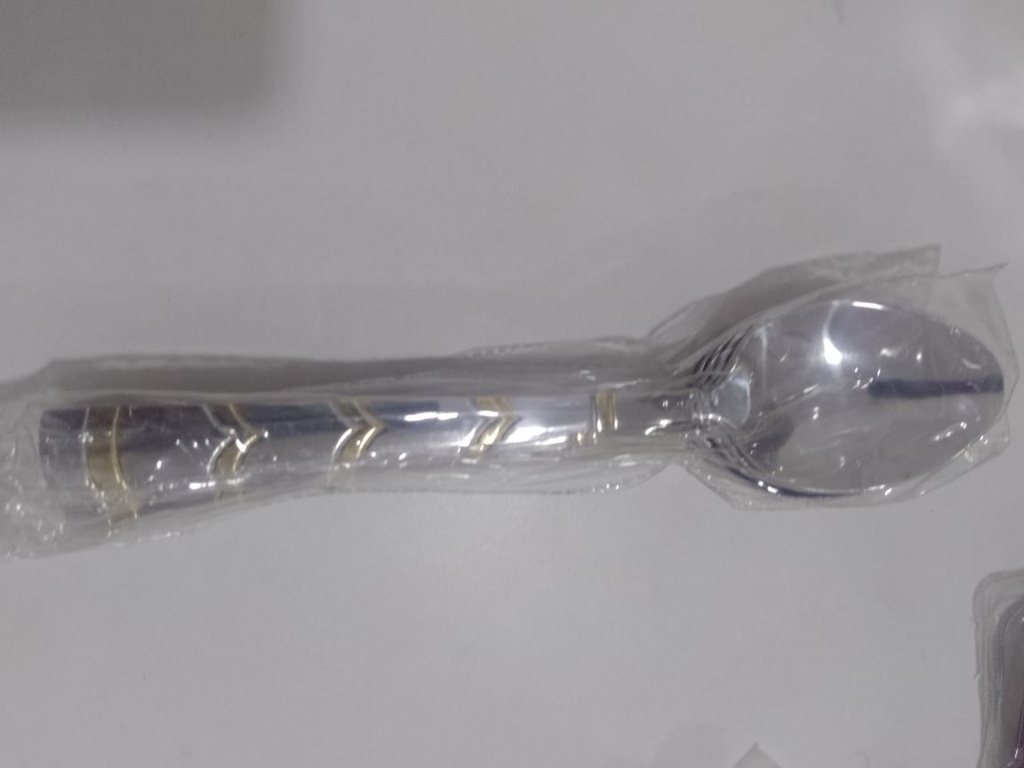STAINLESS SPOON X6