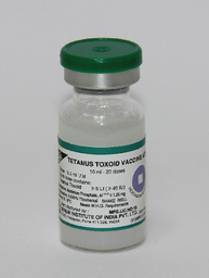 ADSORBED TETANUS TOXOID VACCINE *10 AMPOULES